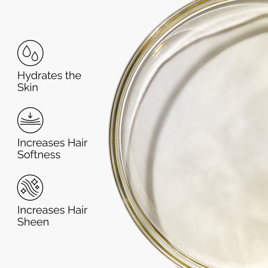 100-organic-cold-pressed-moroccan-argan-oil-h1 FY25-D41247-ORD-Web-PDP-100-Argan-Oil-1x1-EN-3.jpg