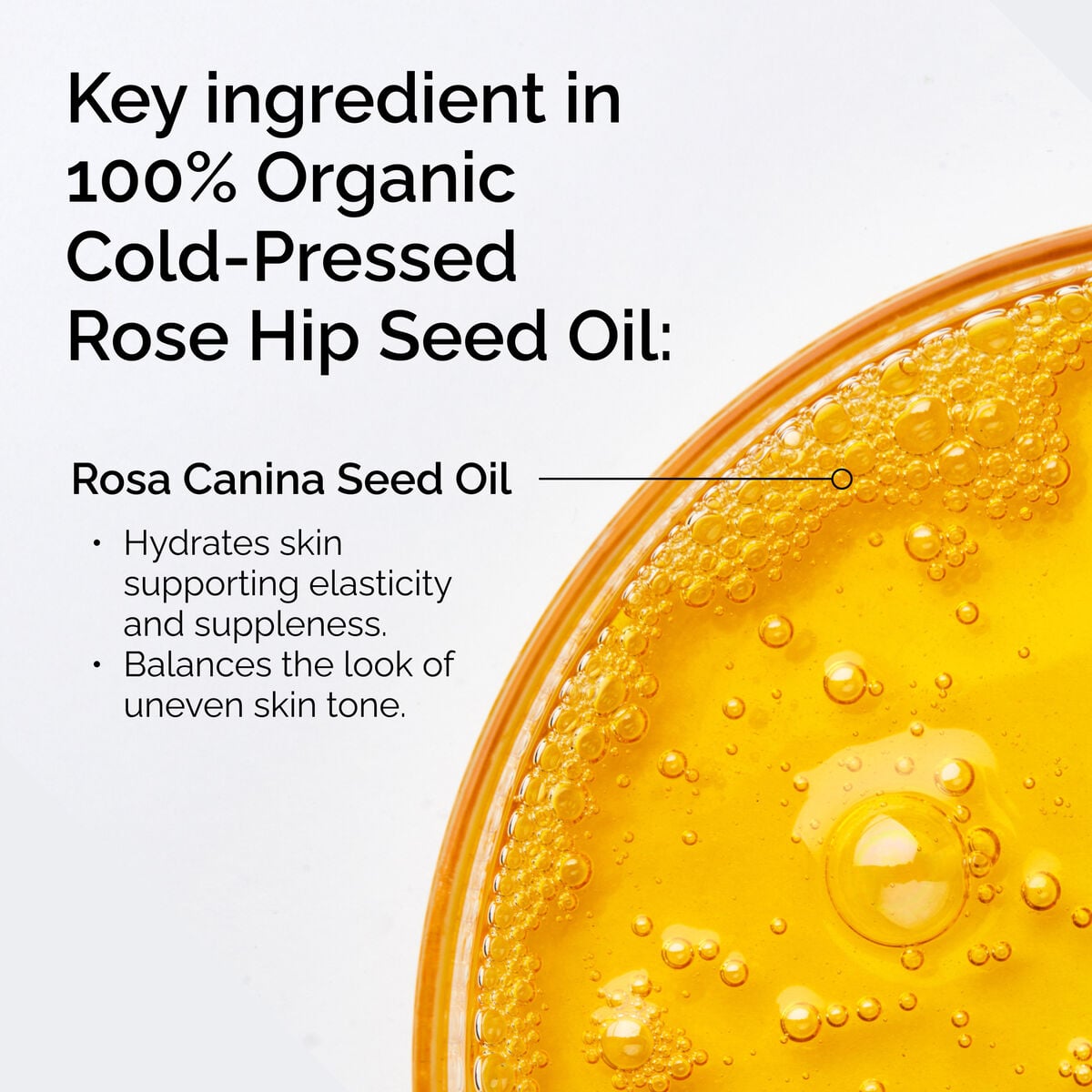 100-organic-cold-pressed-rose-hip-seed-oil-t6 FY25-D41247-ORD-Web-PDP-100-Rose-Hip-Oil-1x1-EN-2.jpg