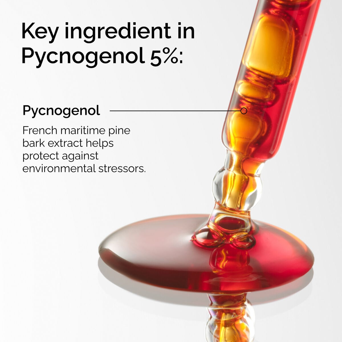 pycnogenol-5-a4 FY25-D41247-ORD-Web-PDP-Pyc-5pct-1x1-EN-2a.jpg