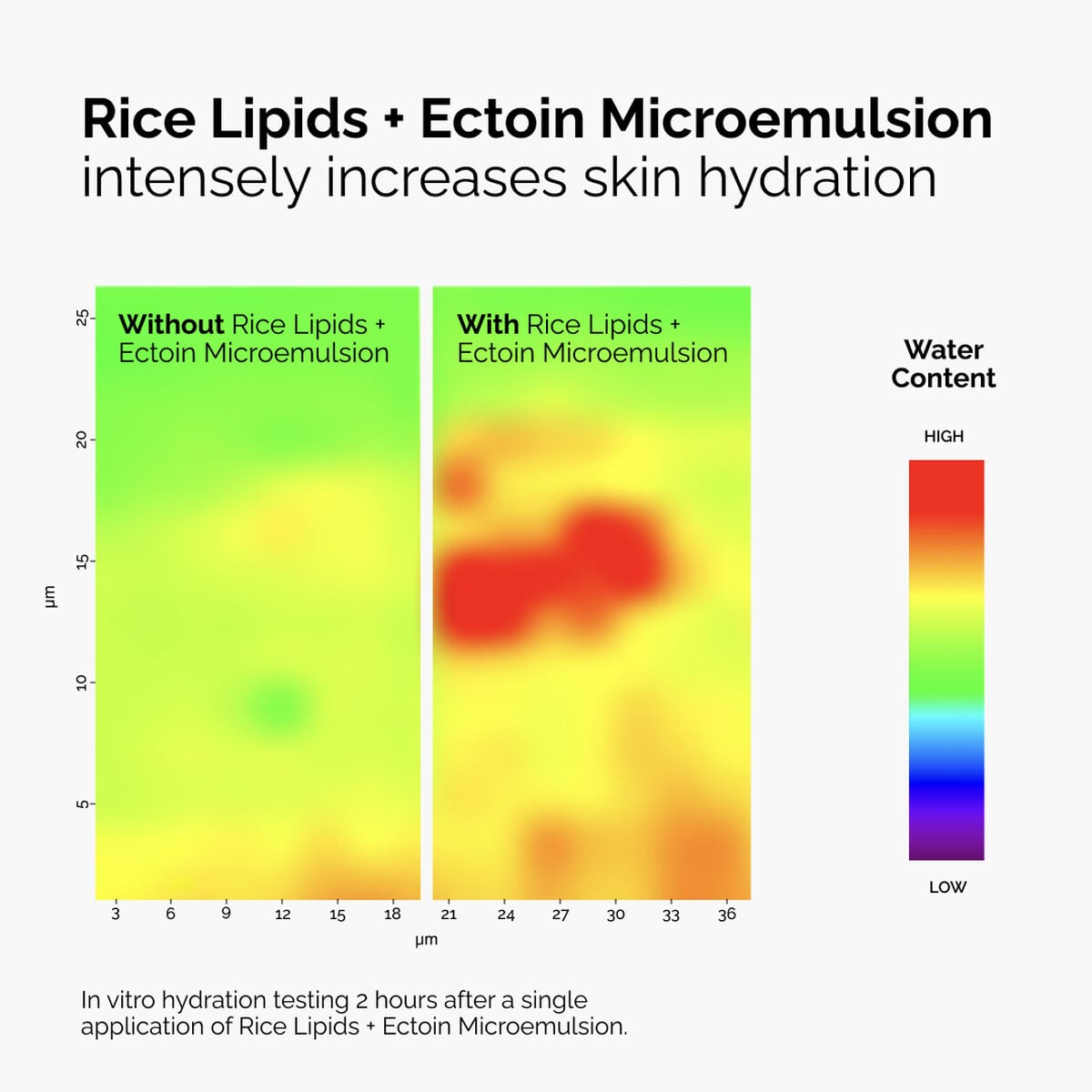 rice-lipids-ectoin-microemulsion-e4 ord-rice-lipids-ectoin-microemulsion-thermal-before-after.jpg